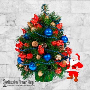 Ukraine Weihnachtsgeschenk #9