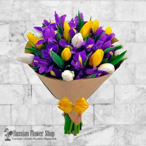Ukraine-Frühlingsblumen #7