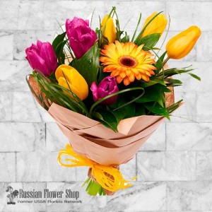 Ukraine-Frühlingsblumen #11